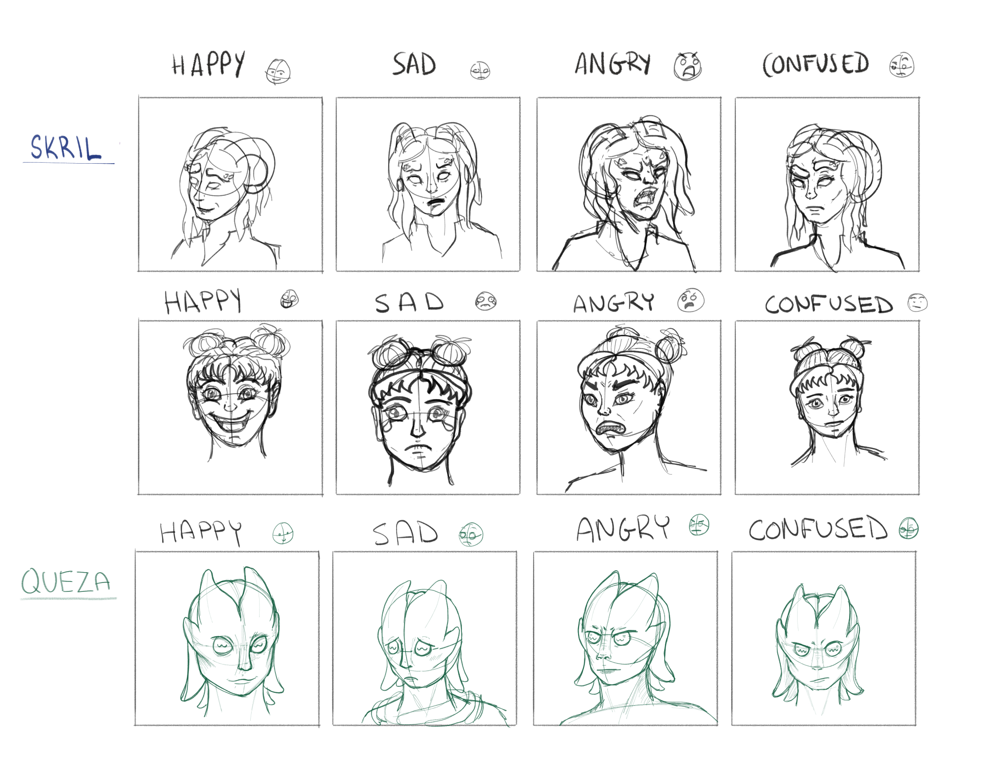 Expression sheet