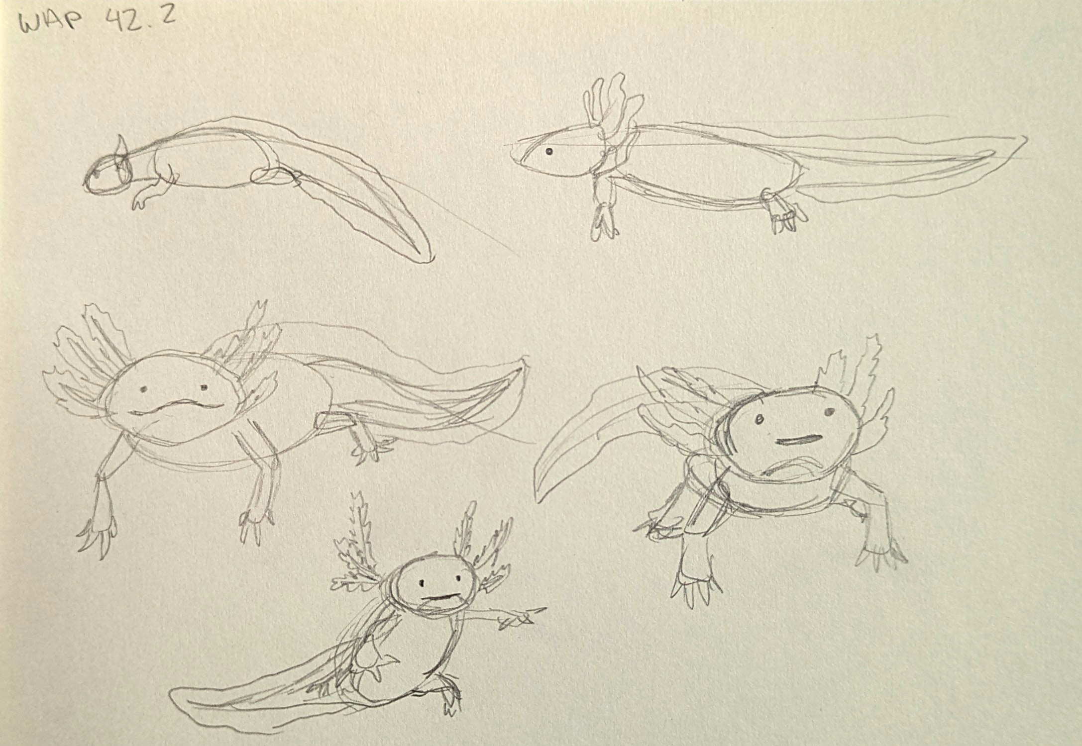 Quick hand sketches using references